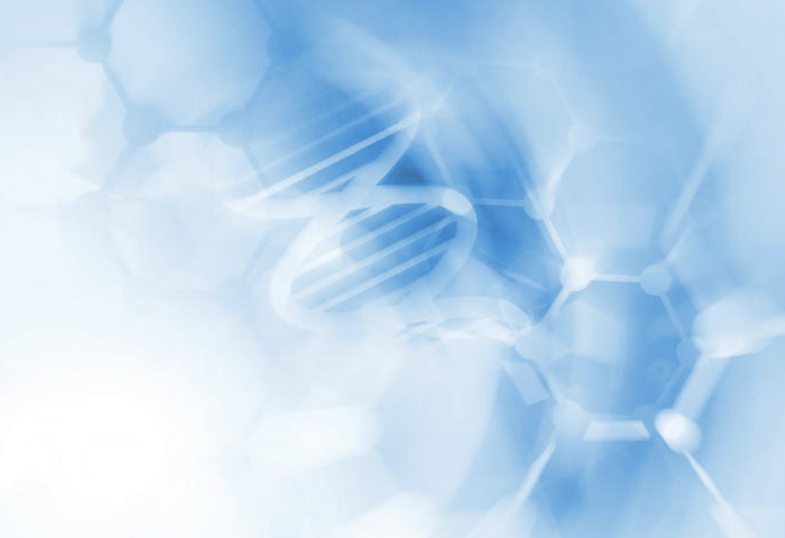 慢性病管理方案